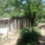 IMG_20161017_141000131 (1)